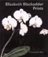 Elizabeth Blackadder Prints