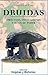 Druidas: Oraculos, Invocaciones y Ritos de Poder--Oracles, Innovations, and Rituals of Power (Spanish Edition)