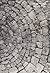 Stone Shelters by Edward Allen