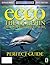 Ecco The Dolphin: Defender Of The Future