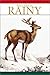 Rainy