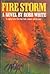 Fire Storm: A Novel