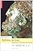 Pythéas Le Grec Découvre L'europe Du Nord: I Ve Siècle Av. J. C.
