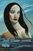 Still Water Saints (Hardcover)