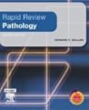 Rapid Review Path...