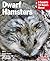 Dwarf Hamsters by Sharon L. Vanderlip