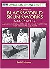 Lockheed's Blackworld Skunk Works: The U2, SR-71 and F-117 (Osprey Aviation Pioneers 4)