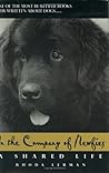In the Company of Newfies by Rhoda Lerman