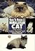 Guide to Owning a Himalayan Cat: Feeding, Grooming Exhibition, Temperament, Health