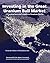 Investing in the Great Uranium Bull Market: A Practical Investor's Guide to Uranium Stocks