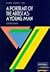 York Notes on "A Portrait of the Artist As a Young Man" by James Joyce (York Notes)