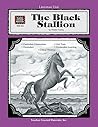 The Black Stallion