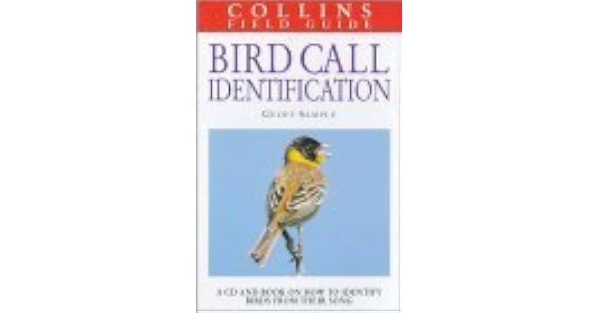 Bird Call Identification by Geoff Sample