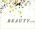 Regarding Beauty: A View of the Late Twentieth Century (Hardcover)