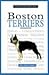 A New Owner's Guide to Boston Terriers