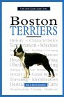 A New Owner's Guide to Boston Terriers A New Owner's Guide to Boston Terriers