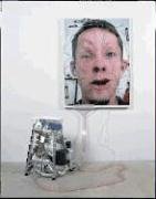 Tim Hawkinson (Hardcover)