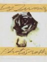 Cy Twombly: Photographs 1951 -1999 Cy Twombly: Photographs 1951 -1999