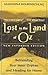 Lost In The Land Of Oz by Madonna Kolbenschlag