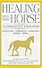 Healing Your Horse