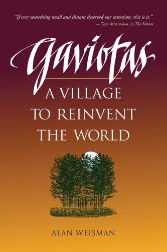 Gaviotas: A Village to Reinvent the World (Paperback)
