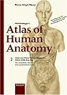 Wolf-Heidegger's Atlas of Human Anatomy: Head and Neck, Thorax, Abdomen, Pelvis, Cns, Eye, Ear Wolf-Heidegger's Atlas of Human Anatomy: Head and Neck, Thorax, Abdomen, Pelvis, Cns, Eye, Ear