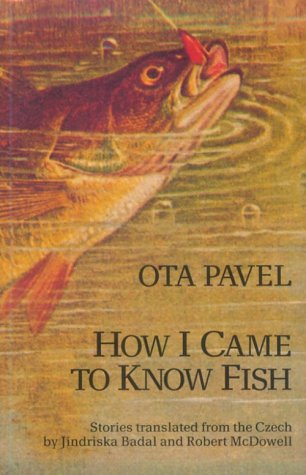 How I Came to Know Fish (Paperback)