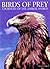 Birds of Prey: A Portrait of the Animal World