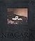 Niagara by Alec Soth