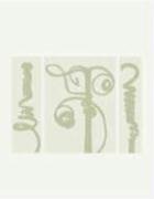 Karl Blossfeldt: Art Forms in Nature (Hardcover)