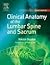 Clinical and Radiological Anatomy of the Lumbar Spine