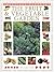 The Fruit & Vegetable Garden (Practical Handbooks)