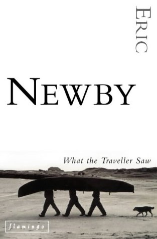 What the Traveller Saw (Paperback)