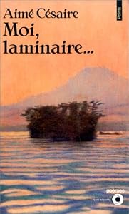 Moi, laminaire...