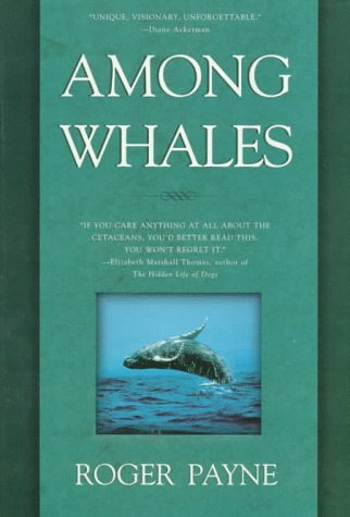 Among Whales (Paperback)