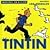 Tintin: Descubro Los Animales