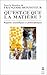 Qu Est-Ce-Que La Matiere (Ldp Bib.Essais) (French Edition)