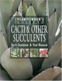 The Plantfinder's Guide to Cacti & Other Succulents (Hardcover)