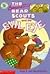 Berenstain Bear Scouts and the Evil Eye by Stan Berenstain
