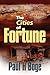 The Cities of Fortune (Lucas Stephens Series #2)