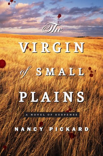The Virgin of Small Plains (Hardcover)