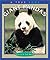 Giant Pandas by Patricia A. Fink Martin