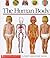 The Human Body