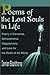 Poems of the Lost Souls in Life: Poetry of Dementia, Schizophrenia, Megolamania, and Love for the Death of the World