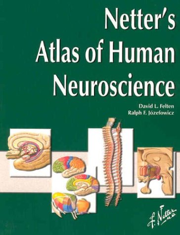 Netter's Atlas of Human Neuroscience (Paperback)