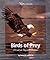 Birds of Prey: A Look at Da...