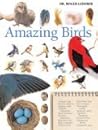 Amazing Birds: A ...