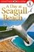 DK Readers: Day at Seagull Beach (Level 1: Beginning to Read)