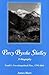 Percy Bysshe Shelley by James Bieri