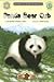 Panda Bear Cub